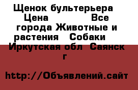 Щенок бультерьера › Цена ­ 35 000 - Все города Животные и растения » Собаки   . Иркутская обл.,Саянск г.